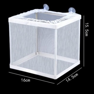 Hộp Ấp Trứng Nuôi Cá Cảnh