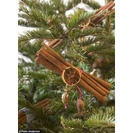 SET CAM SẤY KHÔ, THANH QUẾ, QUẢ THÔNG KHÔ, CHÙM ĐÀO ĐÔNG, HỘP QÙA, THẺ TAG, THỆP- TRANG TRÍ NOEL,GIÁNG SINH, ĐỒ HANDMADE