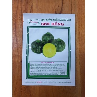 Hạt giống bí ăn non sh25 sen hồng 100 hạt