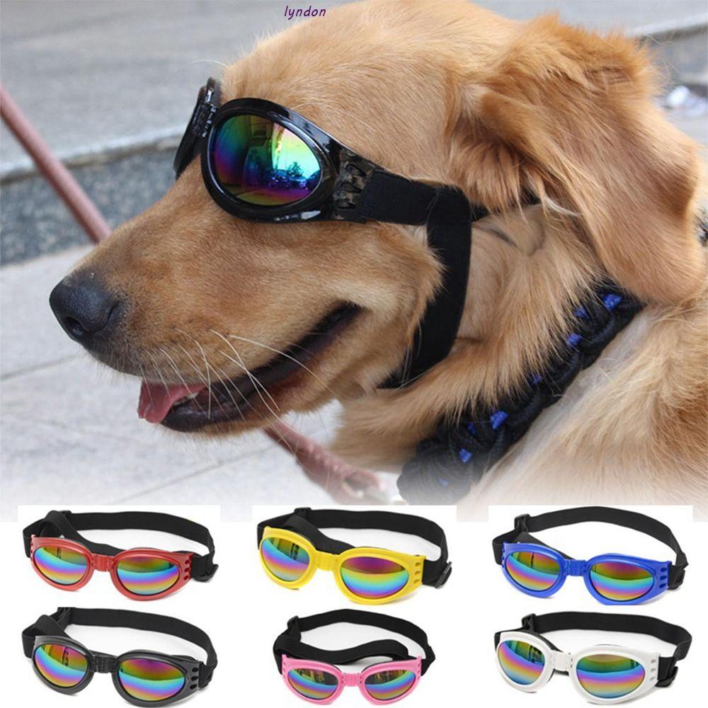 Lyndon dog protection goggles trung bình chó lớn chống gió chống thấm nước kính mắt vật nuôi bảo vệ tia cực tím
