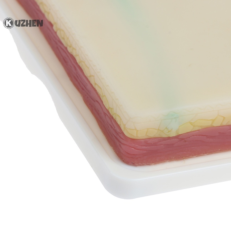 Mô hình thực hành tiêm tĩnh mạch kuzhen mô hình đào tạo khâu da người silicone hot