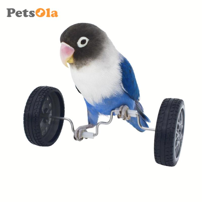 Petsola đồ chơi thăng bằng con vẹt trượt băng nhỏ đồ chơi trên bàn đồ chơi giáo dục trí tuệ đồ chơi con vẹt cho lovebird cockatiels