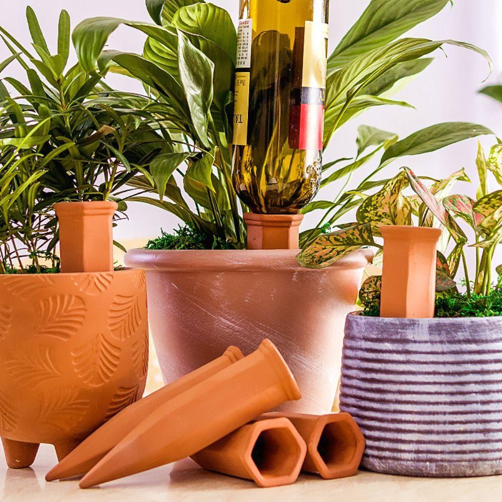 Hệ Thống Tưới Nước Nhỏ Giọt Bằng Đất Sét Đỏ Tiện Lợi
