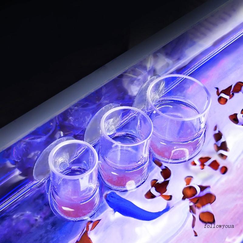 Dụng Cụ Cho Cá Ăn Tự Động Tiện Lợi