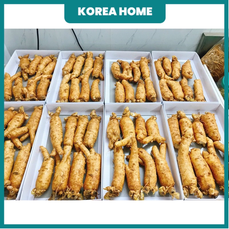 Sâm trọc ngâm mật ong, sâm gãy