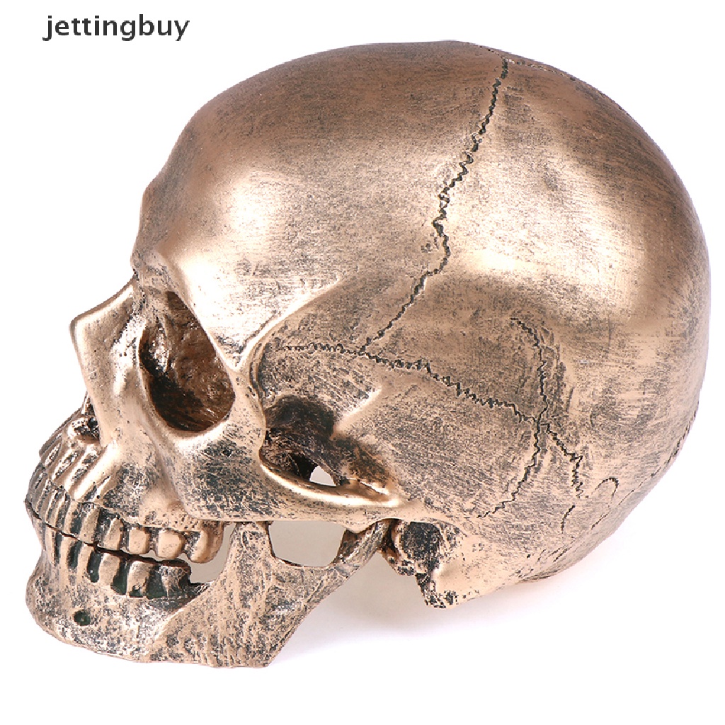 Mô Hình Đầu Lâu Bằng Nhựa Resin Đồng Tỉ Lệ 1: 1 Trang Trí Halloween