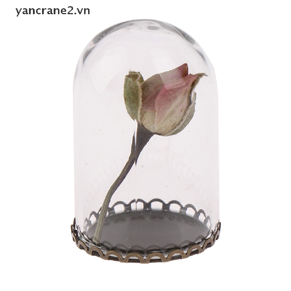 Bộ Lọ Thủy Tinh Trưng Bày Búp Bê 25mm Kèm Chuông Và Đế Kính Dành Cho yancrane2.vn
