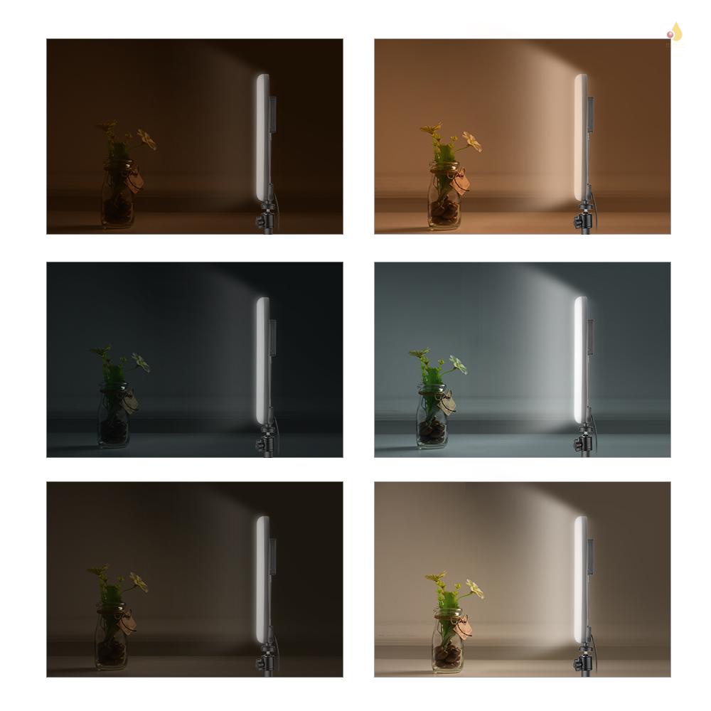 Vòng Đèn LED 10 Inch 3 Chế Độ Điều Chỉnh Được Kèm Giá Đỡ Điện Thoại Dùng Quay Video YouTube / Quay Video