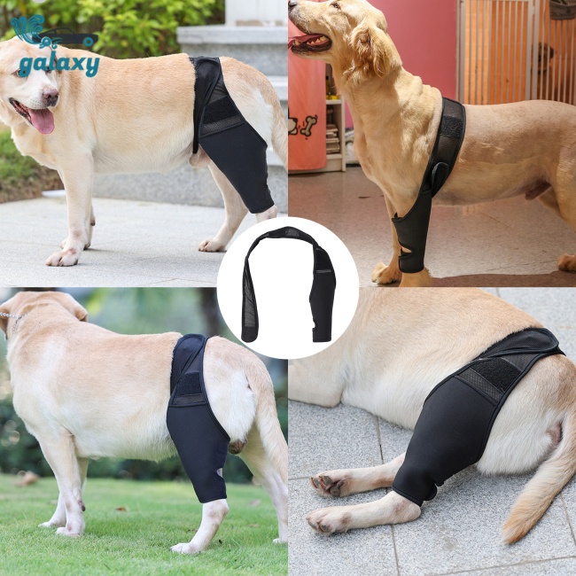Đai Quấn Bảo Vệ Đầu Gối Đa Năng Có Thể Điều Chỉnh Cho Thú Cưng galaxy