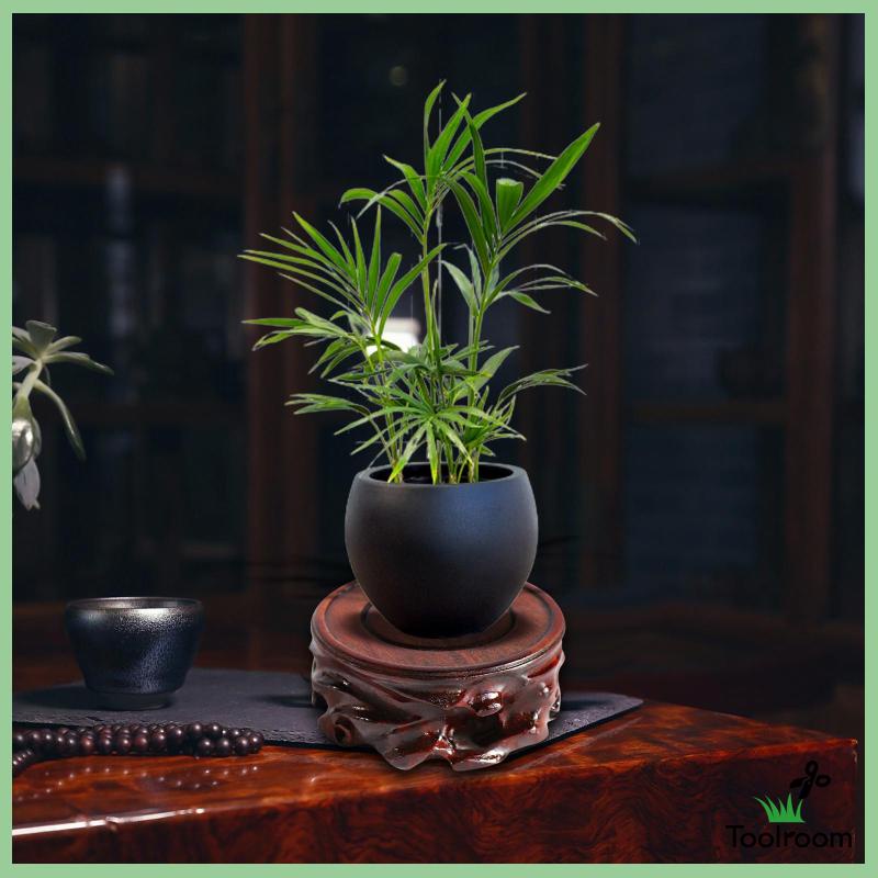 Giá Đỡ Trưng Bày Tượng Điêu Khắc Bằng Gỗ Hình Tròn Ổn Định Cho Phòng Ngủ