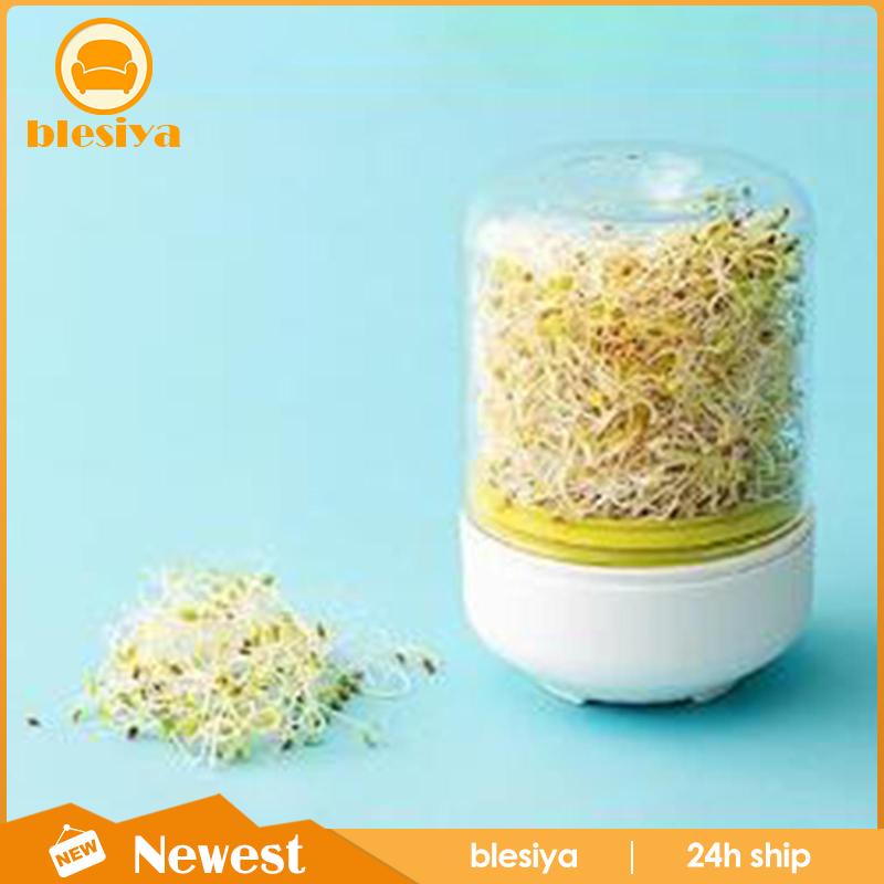 Máy Nghiền Hạt Đậu Phộng Tiện Dụng Cho Mầm Non