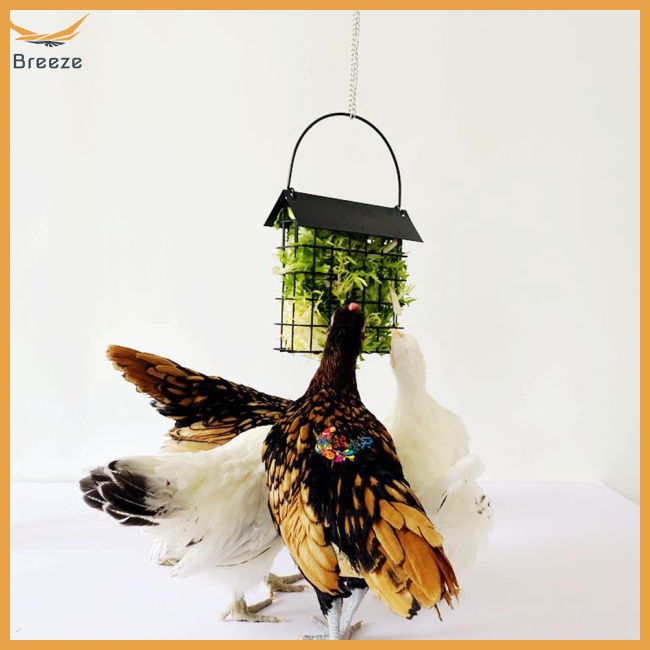 Rổ Đựng Thức Ăn Cho Gà / Rau Củ Quả Tiện Dụng