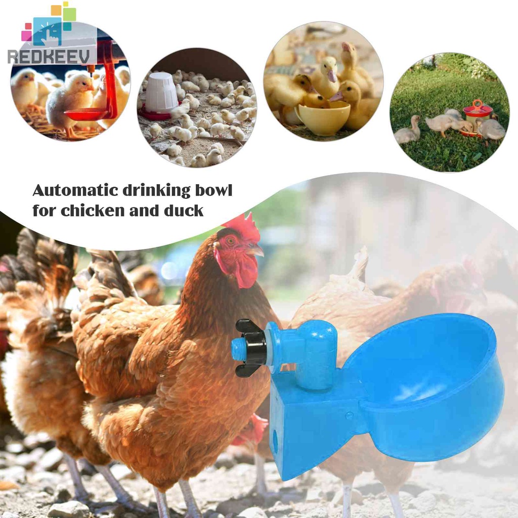 Bộ 6 Dụng Cụ Cho Gà Vịt Uống Nước Tự Động