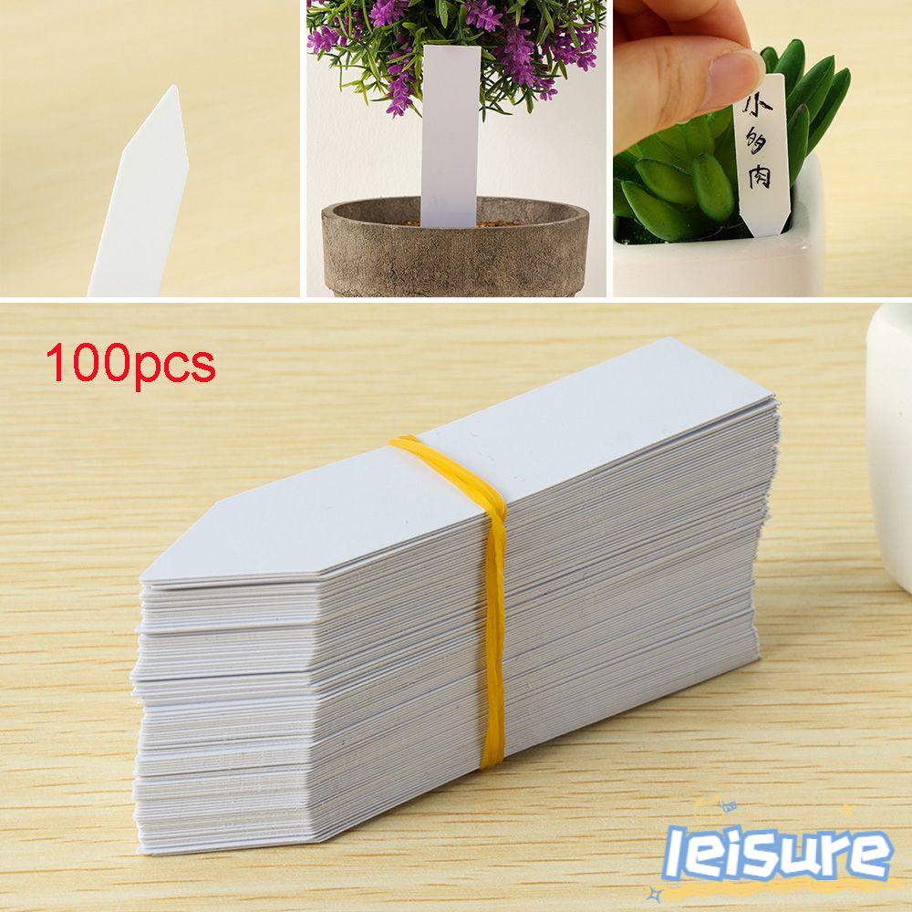 100 Hạt Giống Cây Chống Thấm Nước