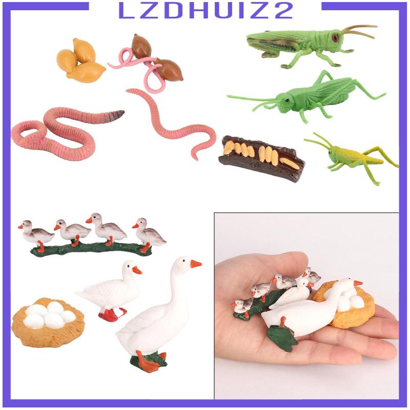 Mô Hình Động Vật Chu Kỳ Tự Nhiên [Lzdhuiziz]