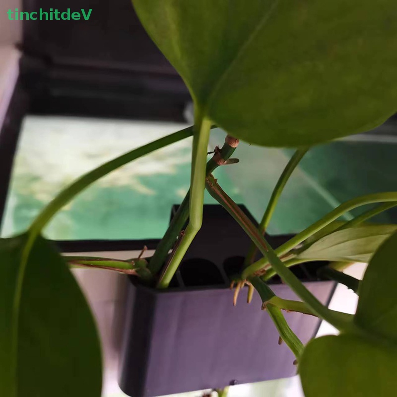 Giỏ Trồng Cây Trang Trí Bể Cá Có Tích Hợp Tích Hợp Tiện Lợi