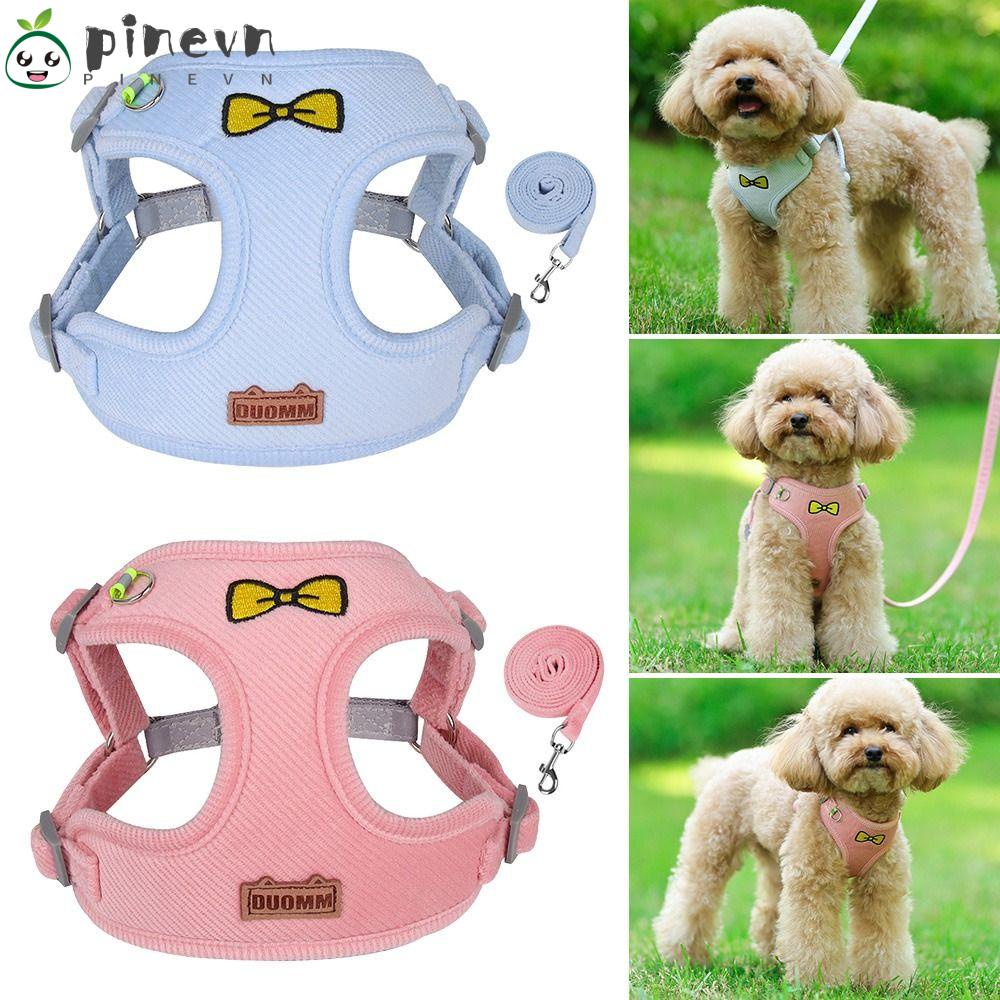 Dây Dắt Thú Cưng Đi Dạo Kiểu Dáng Dễ Thương