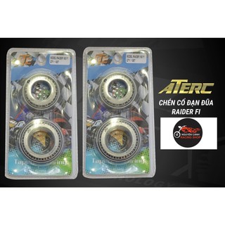 Bộ chén cổ xe Raider Satria 150 bi đũa ATE