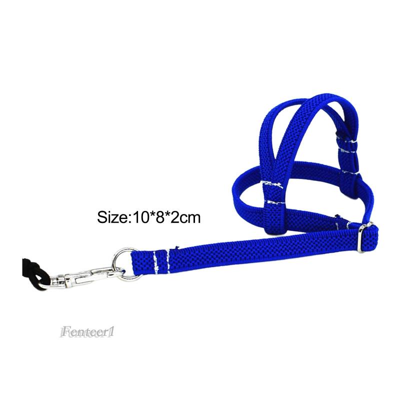 [Fenteer1] Dây Đai Huấn Luyện Chim Và Dây Dắt Chống Cắn Ngoài Trời