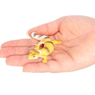 Mô Hình Thằn Lằn Đồ Chơi Cho Bé