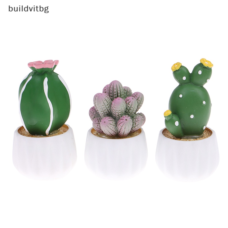 Chậu Cây Xương Rồng Nhỏ Dùng Trang Trí Xe Hơi Dễ Thương