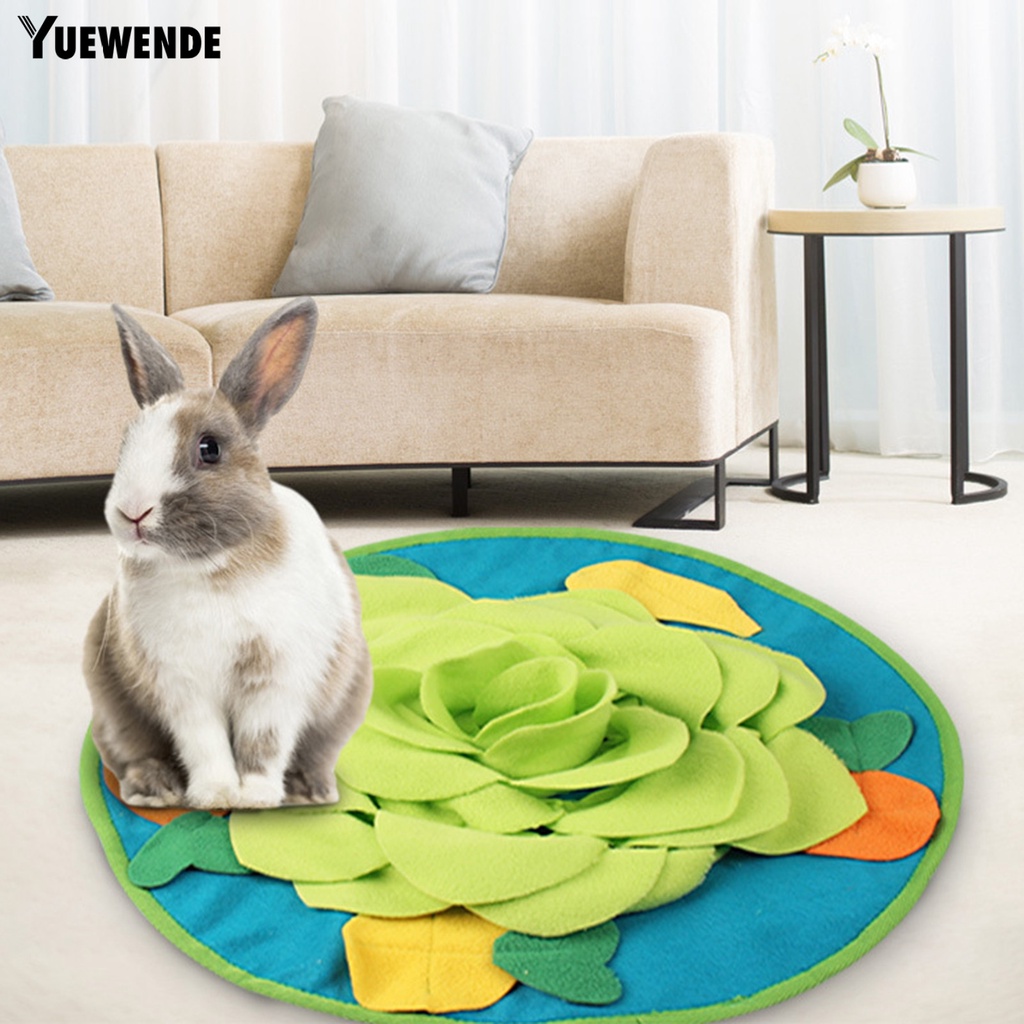 Thảm Tự Nhiên Giúp Giảm Căng Thẳng Kiểm Soát Thoải Mái Dùng Để Huấn Luyện Thú Cưng