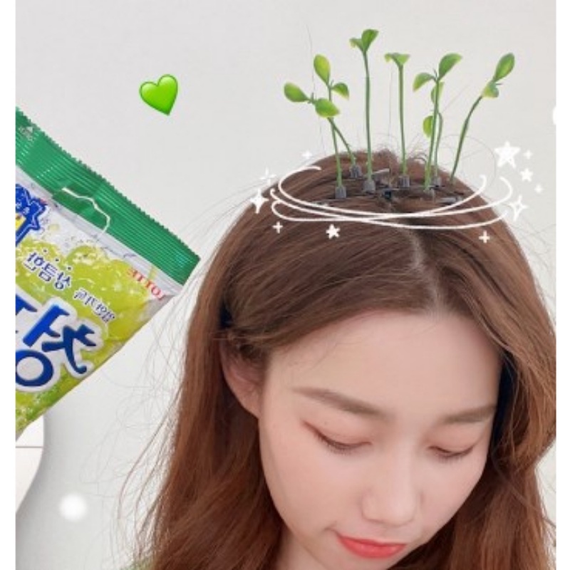 Kẹp Tóc Dễ Thương Hình Dạng Cỏ Phụ Kiện Thời Trang Cho Nữ
