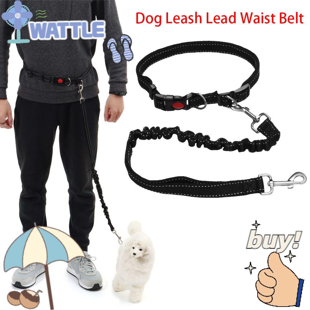 Dây Dắt Thú Cưng Đi Dạo Thiết Kế Tiện Lợi Dễ Dùng