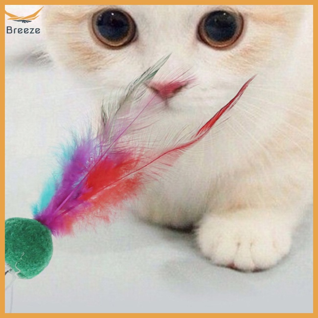 Gậy Trêu Mèo Hình Lông Vũ Có Chuông Vui Nhộn