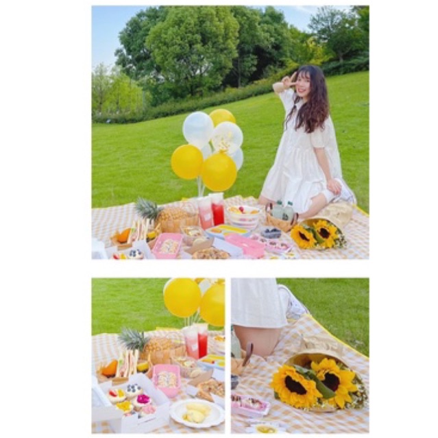 Thảm dã ngoại picnic hoạt tiết, thích hợp đi du lịch, đi phượt chụp ảnh, bạt trải cắm trại gấp gọn Agnite