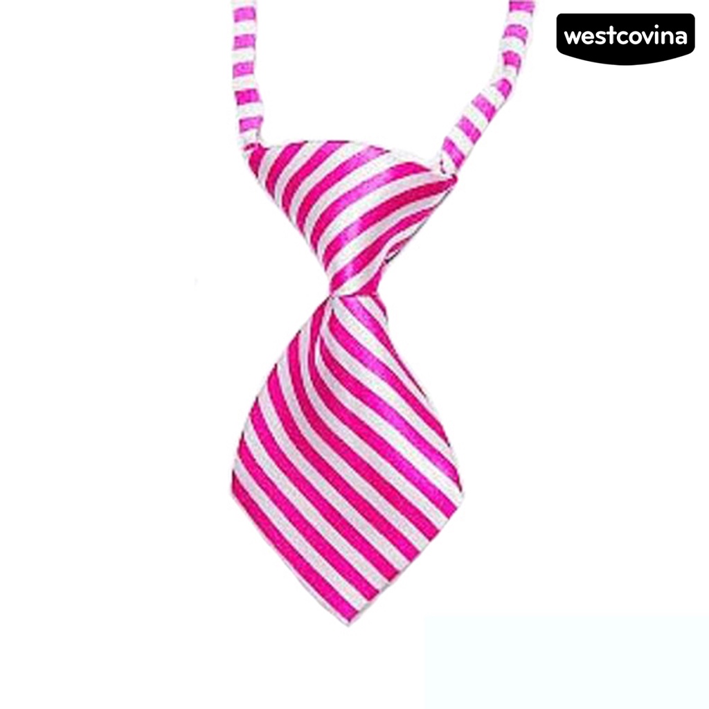 [COD]♞Vòng Cổ ThờI Trang Cho Thú Cưng