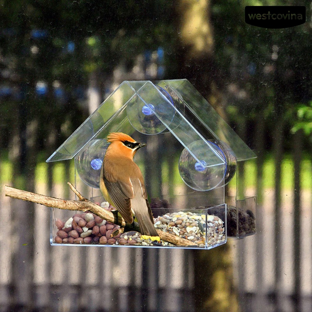 [COD]♞Khay Đựng Thức Ăn Dung Tích Lớn Thiết Kế Cốc Hút Chống Mài Mòn Tiện Dụng Cho Chim Cảnh