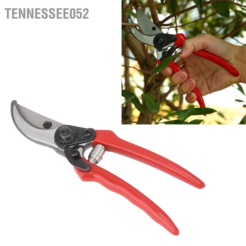 Tennessee052 AT320 Kéo Cắt Tỉa Máy Vườn Tông Đơ Làm Quả Dụng Cụ Cầm Tay