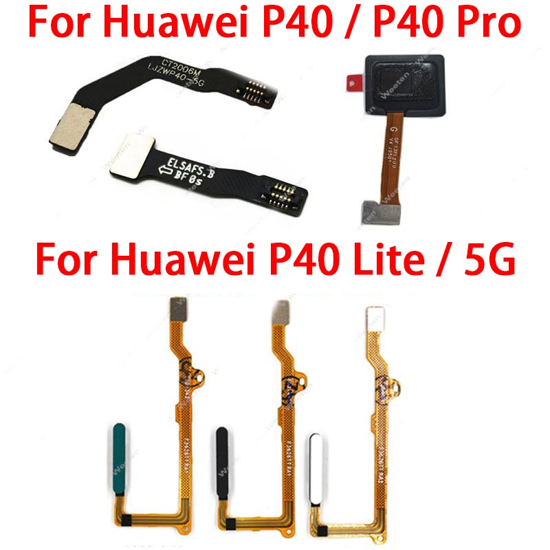 Vân Tay Chính Hãng Cho Huawei P40 P40 Pro P40 Lite 5G Module Dự Phòng