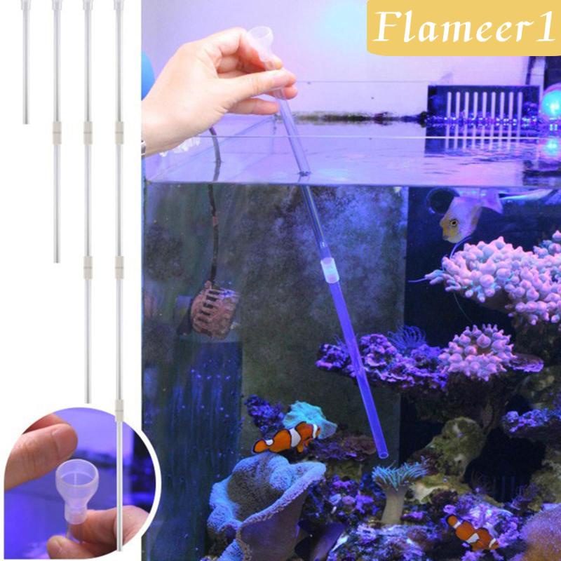 Dụng Cụ Vệ Sinh Nước Mặn Cho Bể Cá