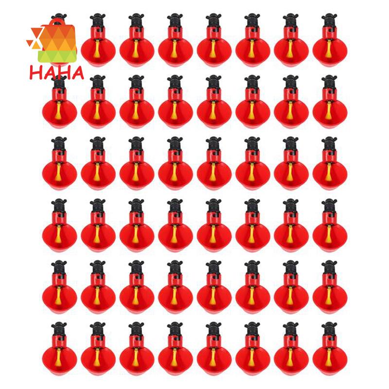 Set 48 Cốc Uống Nước Tự Động Cho Chim