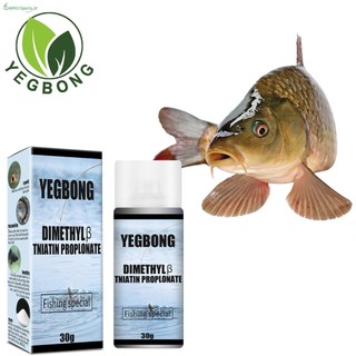 Hộp Bột Mồi Câu Cá 30g Mới