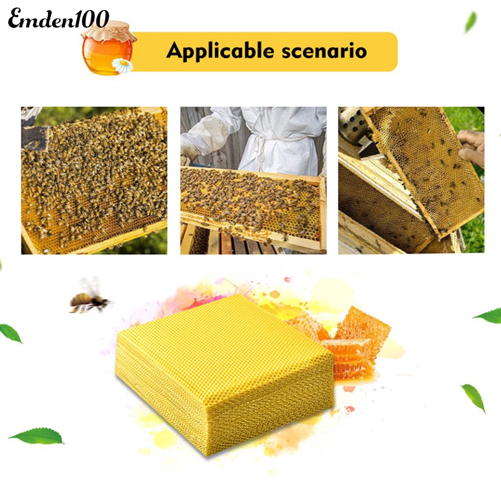 Set 10 Tấm Sáp Ong Tự Nhiên Thân Thiện Với Môi Trường Hỗ Trợ Nuôi Ong