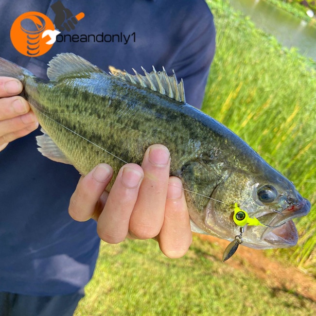 Set 5 Mồi Giả Nhử Cá 3.5g 5g 7g 10g Gắn Kèm Móc Câu