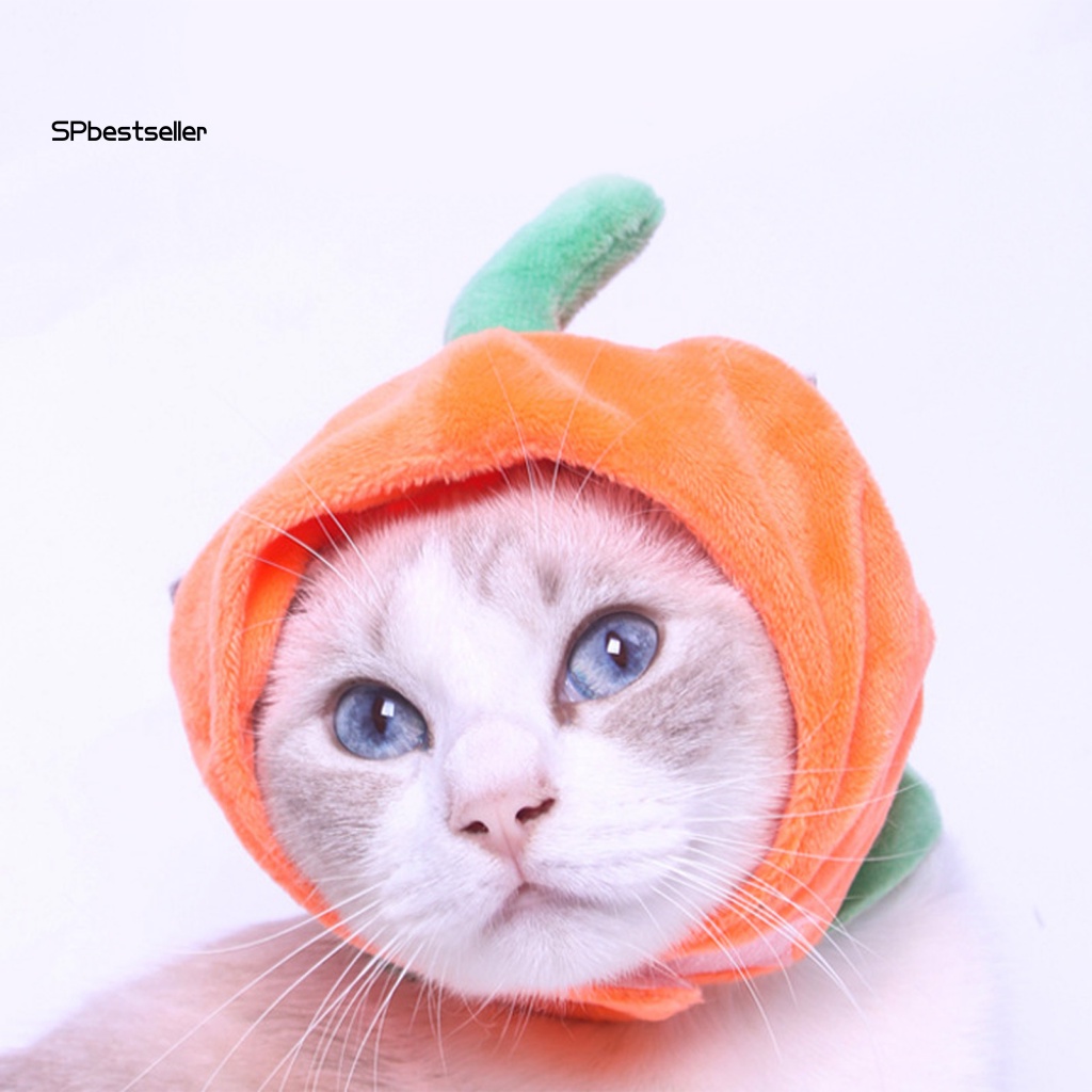 Mũ Đội Siêu Nhẹ Chống Rách Không Phai Màu Cho Thú Cưng