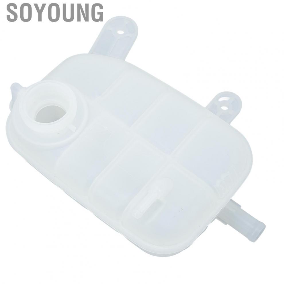 Soyoung Coolant Radiator Expansion Tank Abrasion Resistant High Temp OEM Design ABS Plastic Leak Proof 95380033 for Trax