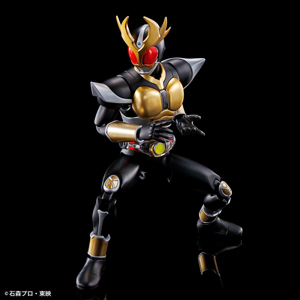 Mô Hình Lắp Ráp Nhân Vật Bandai FRS Kamen Rider AGITO AGITO Earth