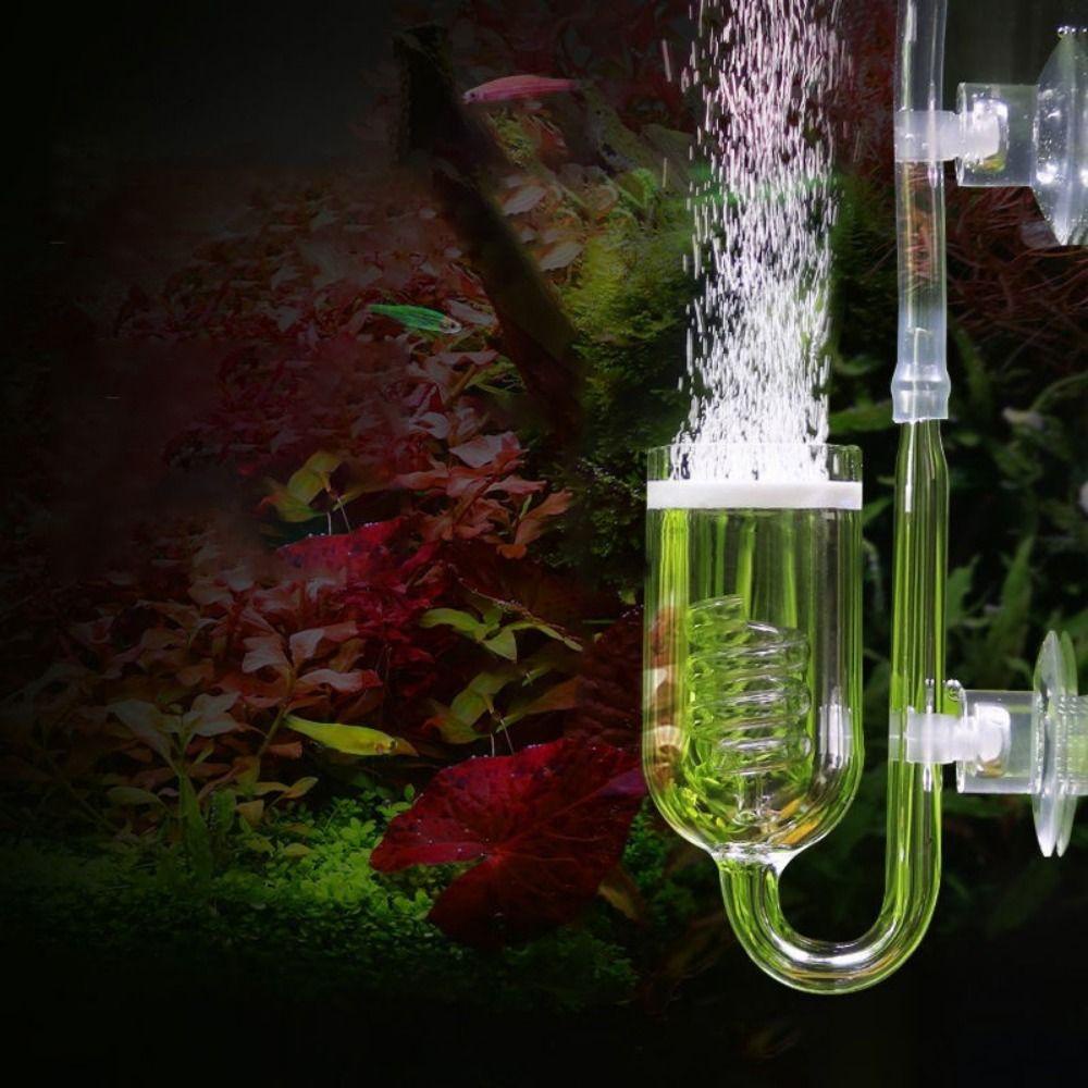 Thiết Bị Bơm Sục Khí NORMAN 2023 Bằng Kính Có Kẹp Hút Dành Cho Bể Cá