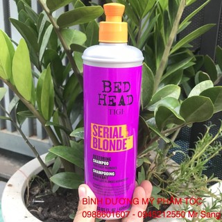 Dầu gội cho tóc nhuộm tông lạnh Tigi Bed Head Dumb Blonde Shampoo (cô gái tóc vàng hoe) 400ml (2026)