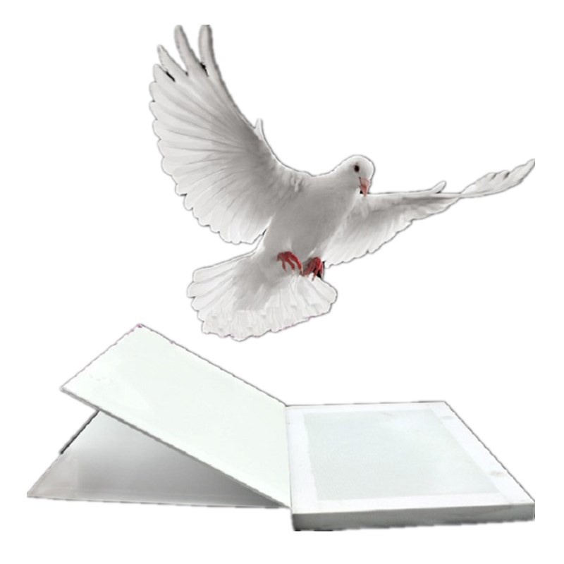 Metamopho Bồ Câu / Bông Hoa Từ Sân Khấu Ma Thuật