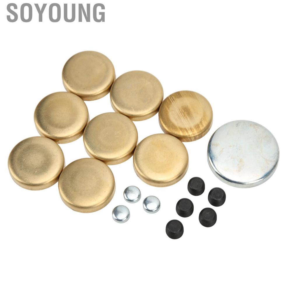 Soyoung Freeze Plug Kit for Dorman 567‑001 Rustproof Stable High Strength Brass Replacement Chevy Small Block 283ci 305ci 327ci