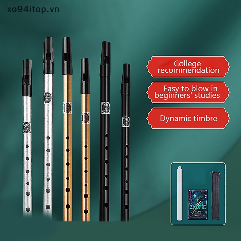 1 Sáo Thổi 6 Lỗ Bằng Kim Loại C / D