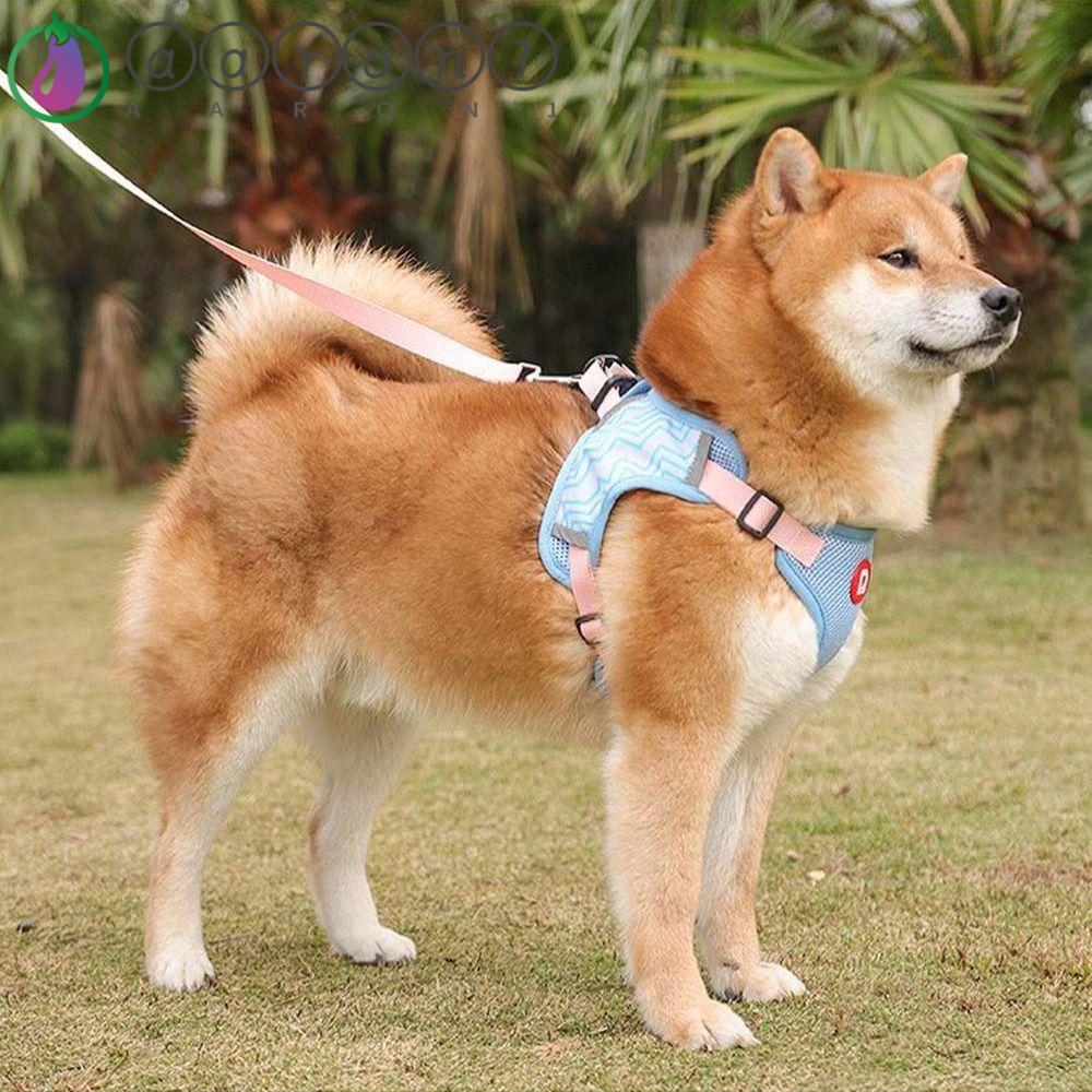 Dây Dắt Thú Cưng Đi Dạo AARON1 Tiện Lợi