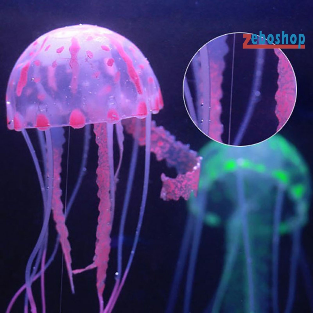 Sứa Giả Phát Quang Trang Trí Bể Cá