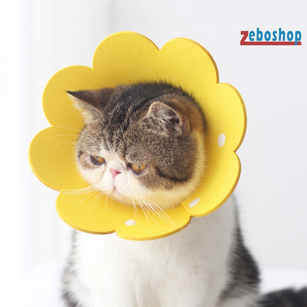 Vòng Đeo Cổ EVA Bảo Vệ Chống Liếm Khi Đi Trong Nhà Dành Cho Mèo